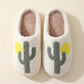 Chaussons cactus vue du dessus