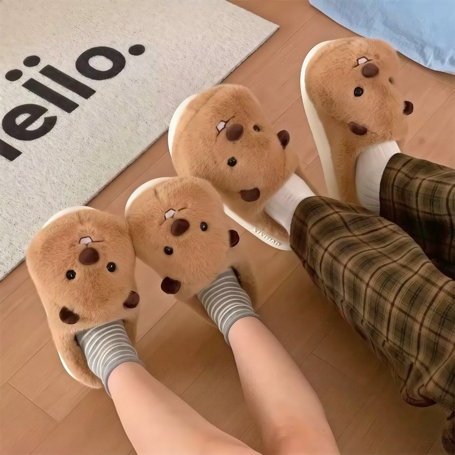 Chaussons hamster