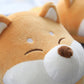 Chaussons Shiba Inu bouille gros plan
