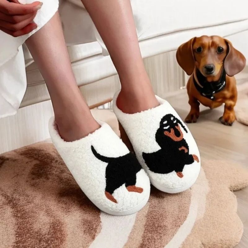 Chaussons teckel