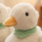 Matière peluche du canard, macro