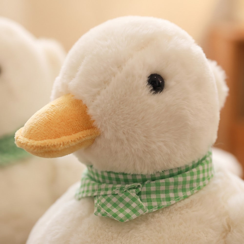 Matière peluche du canard, macro
